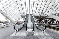 Escaliers mécaniques Gare de Liège par Arno Prijs Aperçu