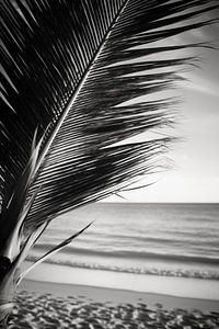 Palmier sur une plage de sable V2 sur drdigitaldesign
