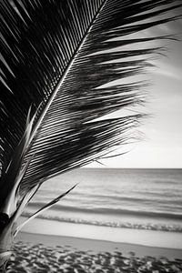 Palme am Sandstrand V2