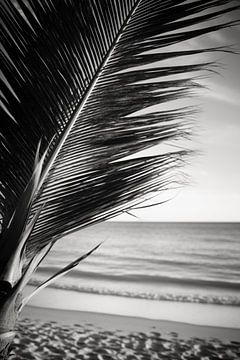 Palmboom op zandstrand V2 van drdigitaldesign