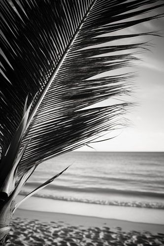 Palmboom op zandstrand V2