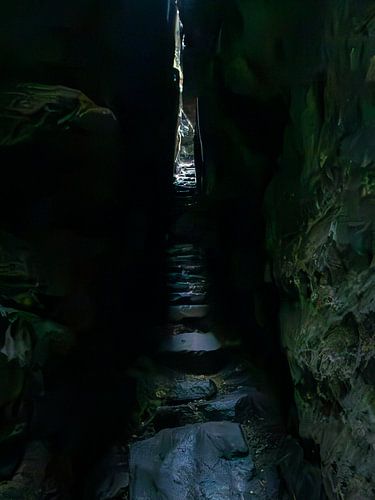 Path through the dark