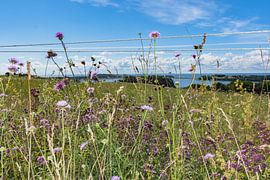 Groß Zicker, view to Klein Zicker, the lake Zicker and the Baltic Sea, Ruegen by GH Foto & Artdesign