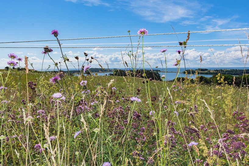 Groß Zicker, Blick zum Klein Zicker, den Zicker See und die Ostsee, Rügen von GH Foto & Artdesign