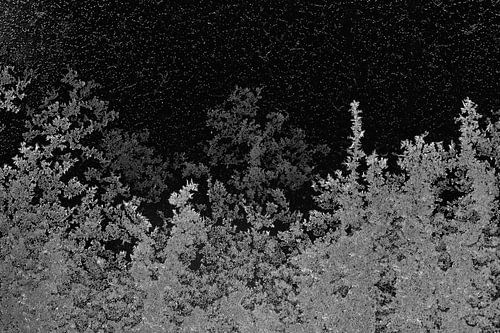 Snow landscape in black and white