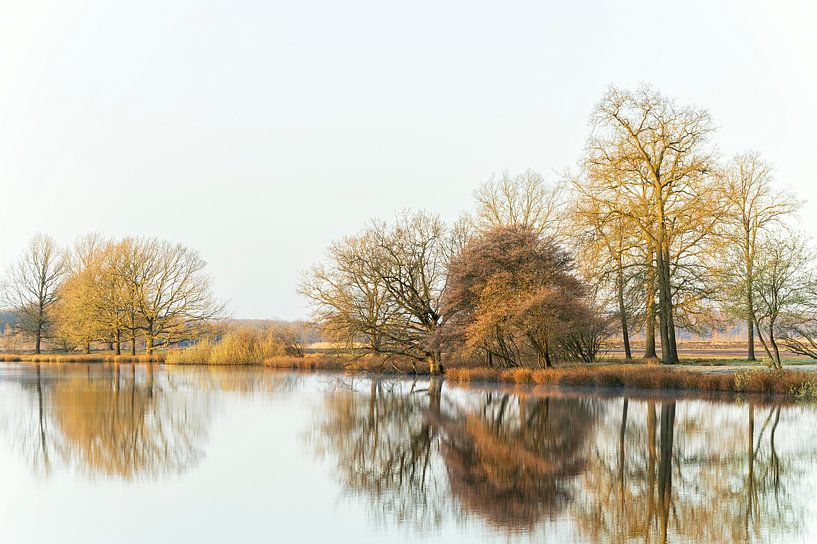 Reflection Dwingelderveld Drenthe (The Netherlands) by Marcel Kerdijk