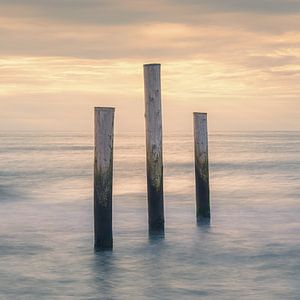 Sonnenuntergang bei Palendorp in Petten, Nordholland
