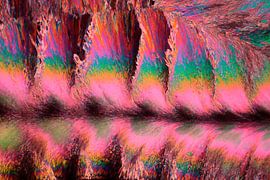 Colchicinum by André Wieringa