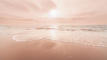 La vie en rose van Yanuschka Fotografie | Noordwijk