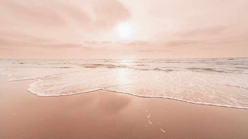 La vie en rose 2 par Yanuschka | Fotografie Noordwijk