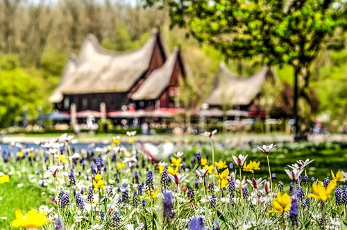 Springtime in Kralingen