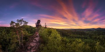 Panorama Sonnenuntergang im Pälzer Wald von Voss Fine Art Fotografie