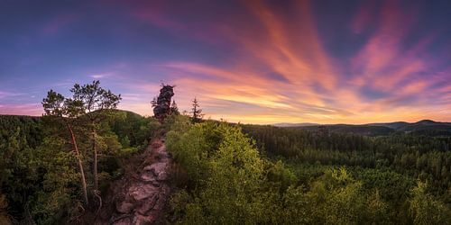 Panorama zonsondergang in het Pfälzerwald
