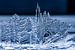 Les cristaux de glace, une merveille de la nature sur Jim De Sitter