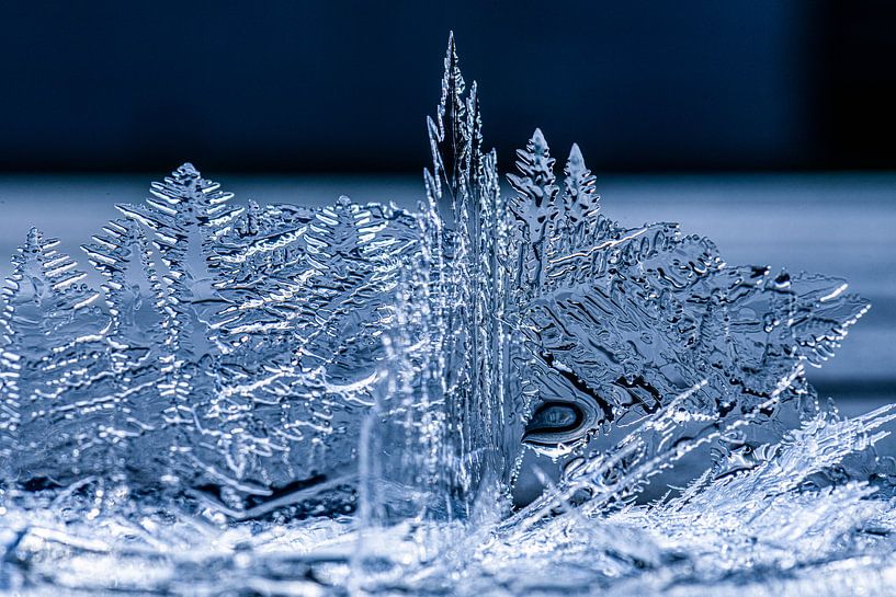 Eiskristalle, ein Wunder der Natur von Jim De Sitter
