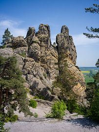 Harz – Hamburg coat of arms (Devil's Wall) by t.ART