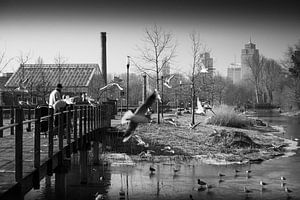 Frankendaelpark Amsterdam Zwart-Wit sur PIX URBAN PHOTOGRAPHY