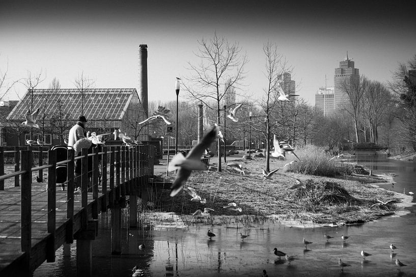 Frankendaelpark Amsterdam Zwart-Wit van PIX STREET PHOTOGRAPHY