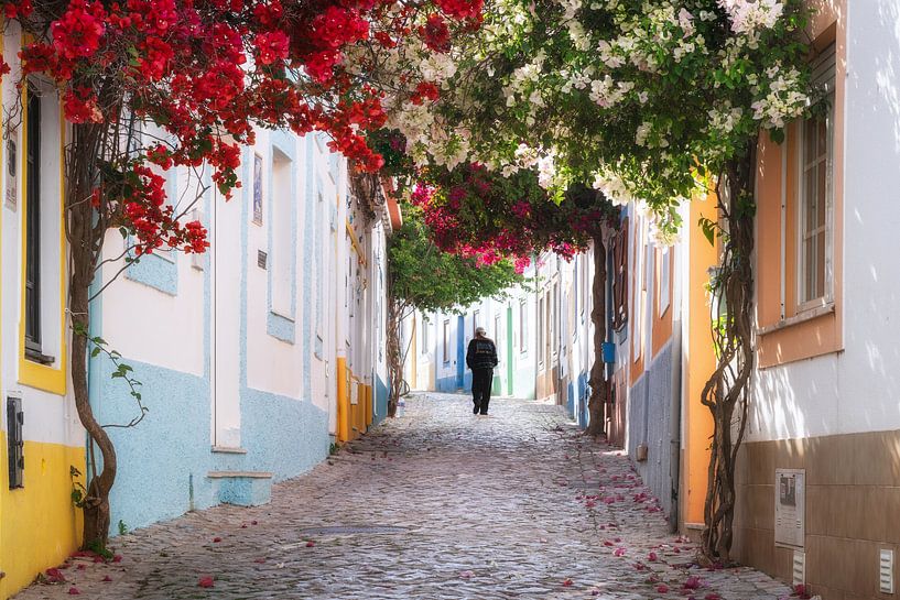 Daily walk by Loris Photography