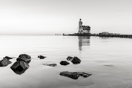 Horse of Marken in black and white