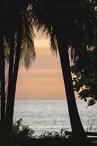 Twilight Whispers - Plage tropicale à la tombée de la nuit sur Femke Ketelaar