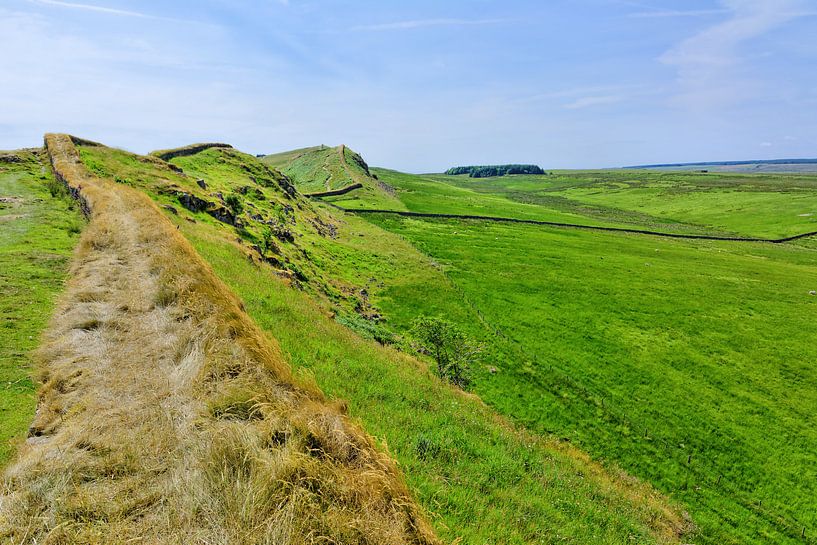 Hadrian's Wall van Gisela Scheffbuch