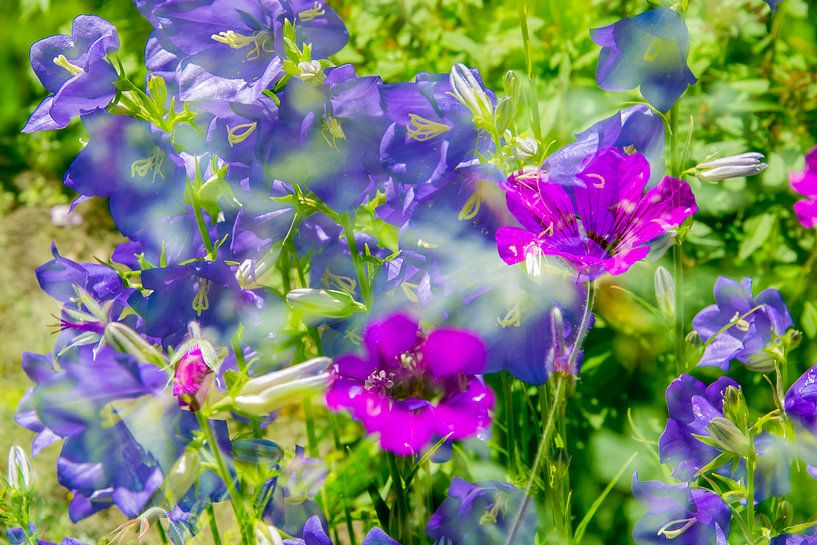 The Field von Henry van Schijndel