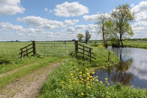 Poldergezicht in de Alblasserwaard van Beeldbank Alblasserwaard
