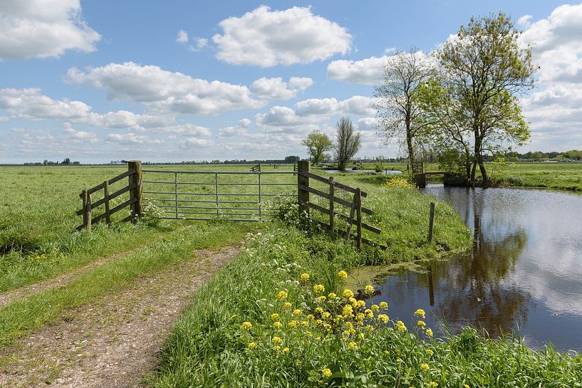 Vue des polders dans l'Alblasserwaard par Beeldbank Alblasserwaard
