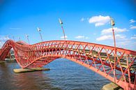 Pytonbrug in Amsterdam van Omri Raviv thumbnail