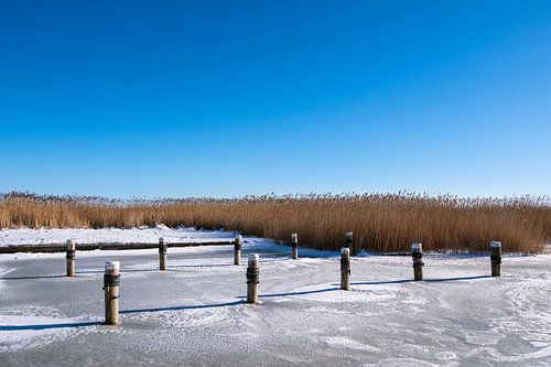 Bodden bij Ahrenshoop op de Fischland-Darß in de winter