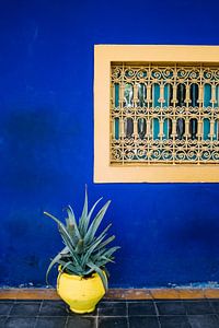 Jardin Majorelle van Patrycja Polechonska