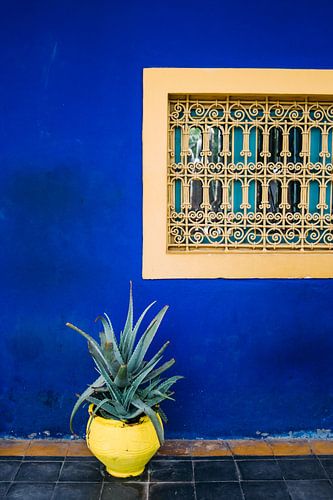 Jardin Majorelle