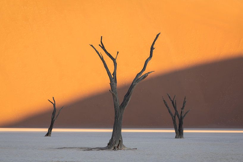 Deadvlei VI par Sven Broeckx