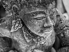 Bali in Bildern von C. Wold