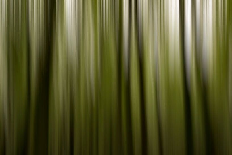 Wooden background from the forest van Hans Kool