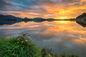 Sonnenuntergang am Hopfensee
