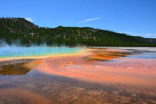 Grand Prismatic Sping Yellowstone National Park