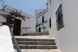 Blanc sur Leticia Spruyt