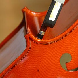 Cello van Thomas Jäger