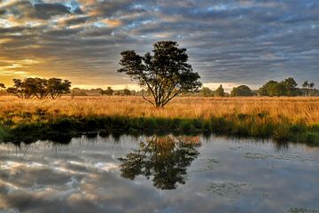 Weerspiegeling bij zonsopkomst Bargerveen