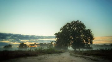 Morgengrauen zu Ihren Füßen