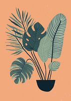 Tropical Plants