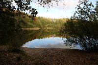 Natuur in Anloo