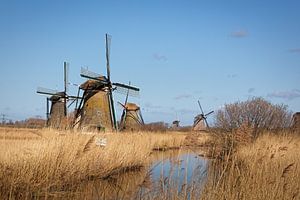 Kinderdijk Windmühlen