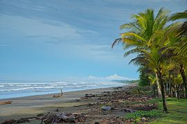 Matapolo Strand bei Savegre in Costa Rica von Alexander Ließ