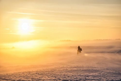 Een ruiter met paard, mist, sneeuw en de zon. Zo mooi, zo bijzonder Foto 3