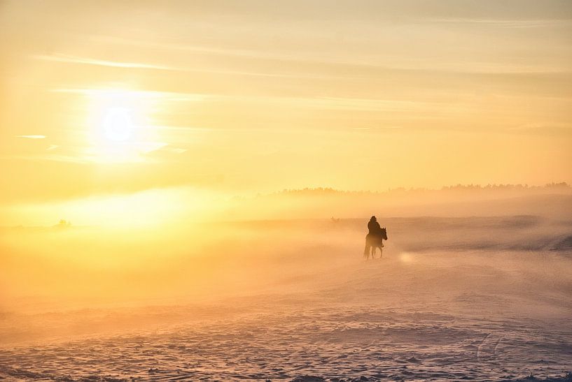 Un cavalier avec un cheval, du brouillard, de la neige et le soleil. Si belle, si spéciale Photo 3 par Natuurpracht   Kees Doornenbal