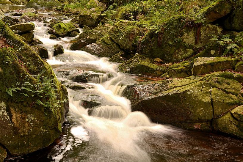 The river Ilse in the Harz National Park by Heiko Kueverling