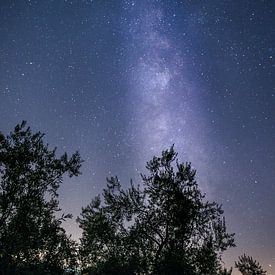 The Milkyway by Jaco Verheul